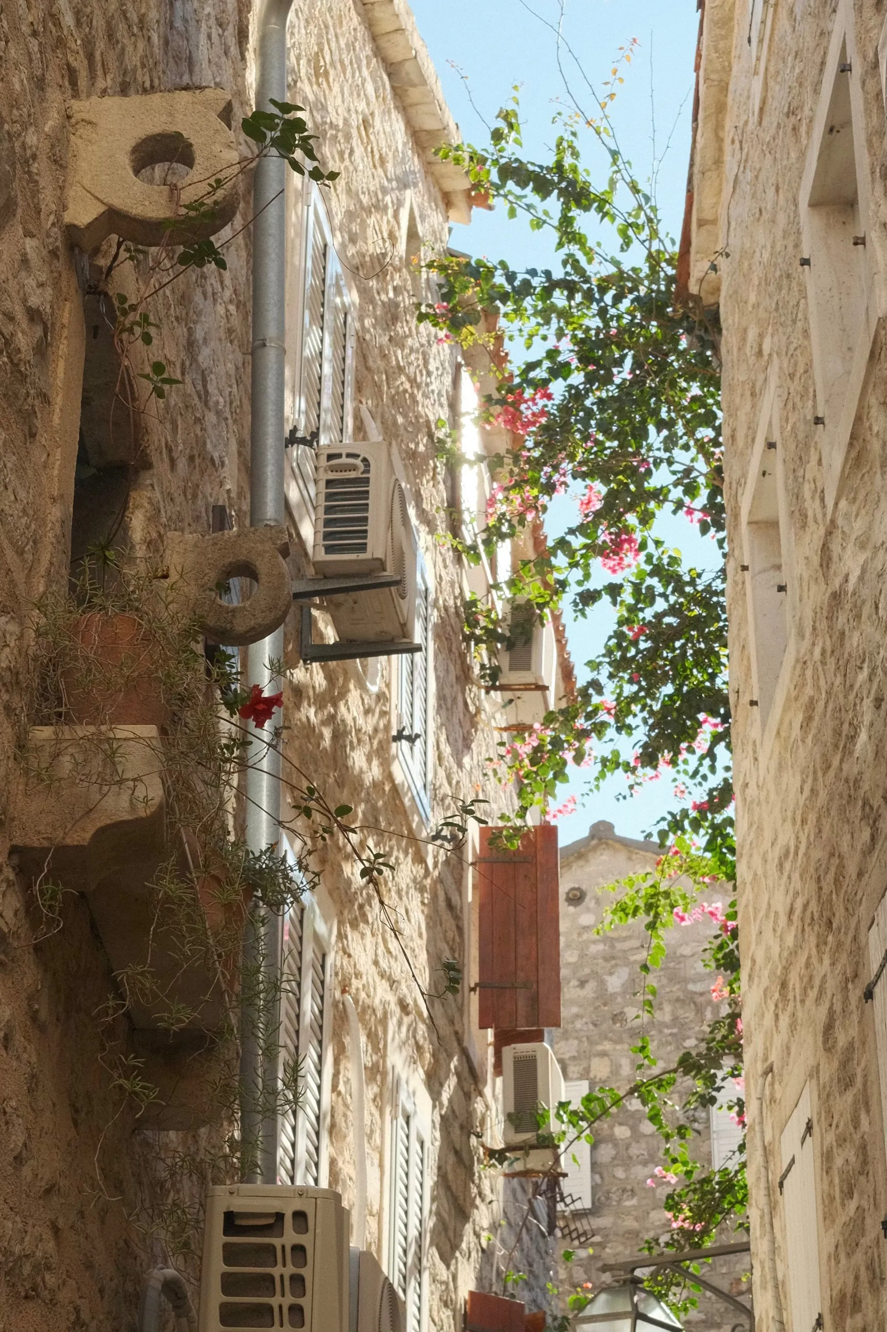 Budva Old Town (Stari Grad), Bougainvillea lane