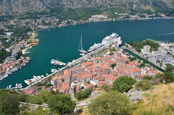 Kotor